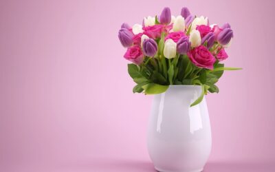 Udforsk et Bredt Udvalg af Farverige og Klassiske Vaser til Enhver Stil